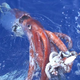 Illustration for article titled Kraken of the Sea and of Our Trembling Fear